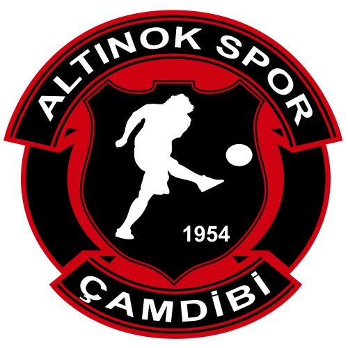 ZÜBEYDE HANIM KOLEJLERİ ÇAMDİBİ ALTINOK SPOR